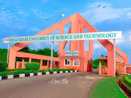 Enugu State University